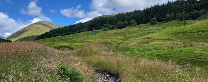 Tyndrum Gruffalo Trail