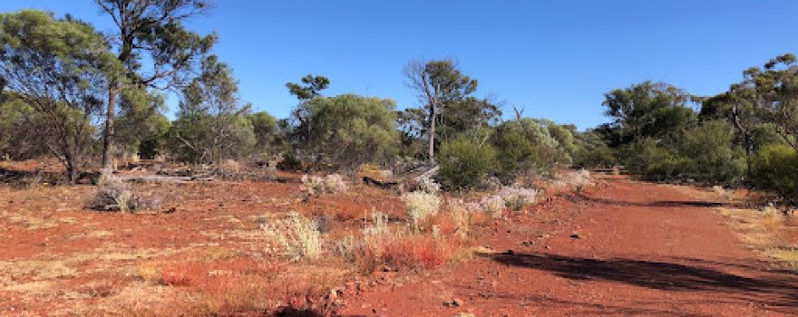 Mount Gibson Sanctuary