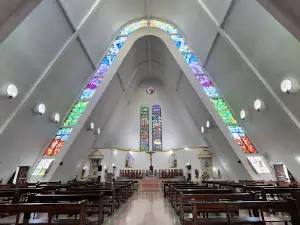 Catedral de San Fernando Rey
