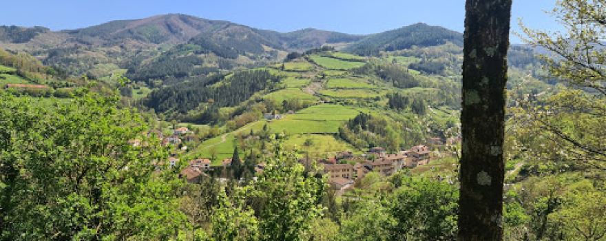 Murgizelai
