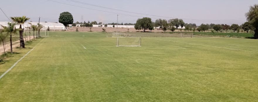 Unidad Deportiva Camino Real