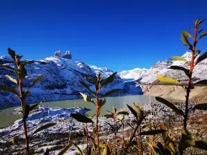 Camping calafate