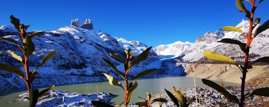 Camping calafate