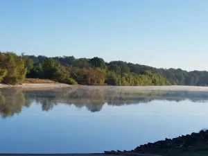 Carter's Bight