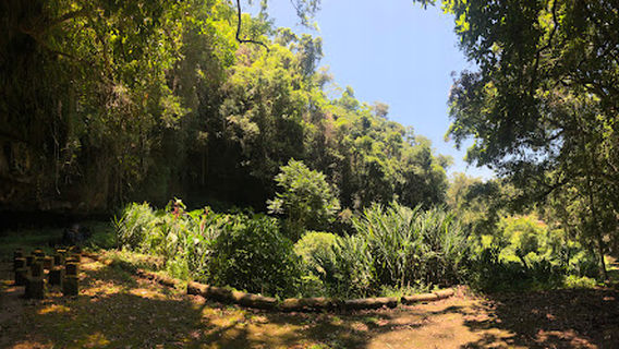 Cachoeira e Gruta Fruteira