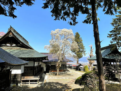 松尾山善光寺(諏訪善光寺)