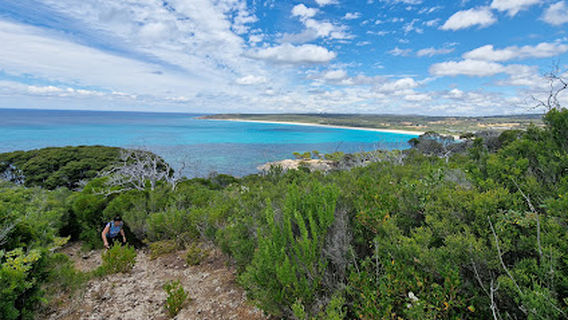 Naturaliste