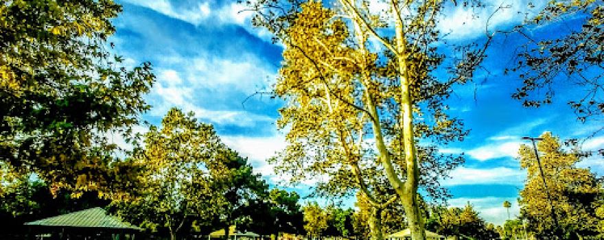 Sunshine Park