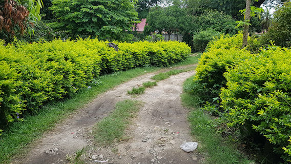 Jamhuri Gardens