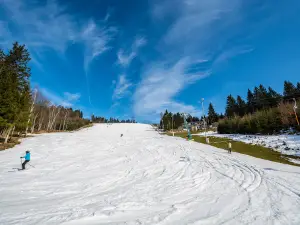 SKI Hartman