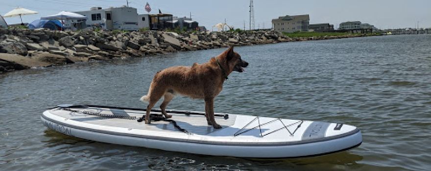 Rodanthe Watersports and Campground