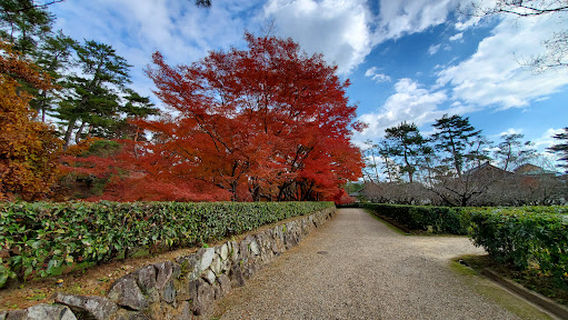 Tanba Kameyama Castle Ruins