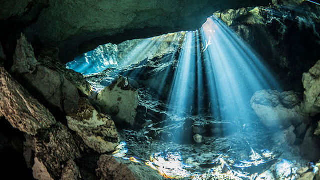 THE CENOTE GUY - CENOTE DIVING