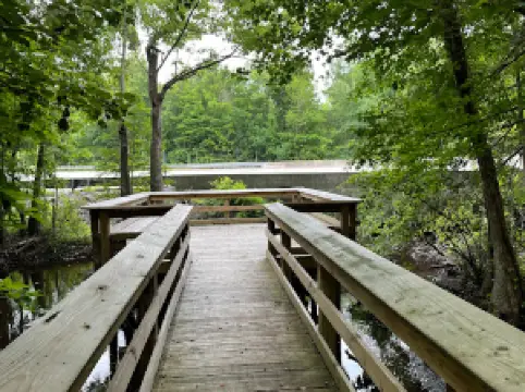 Pocotaligo Nature Walk