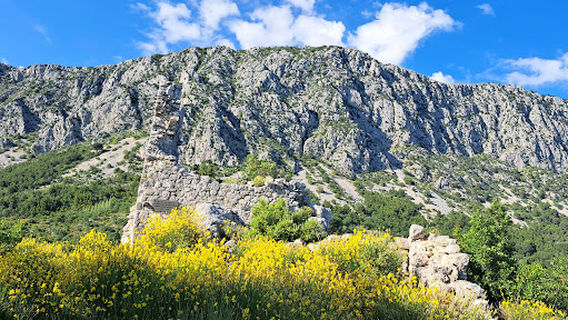 Opcina Gradac