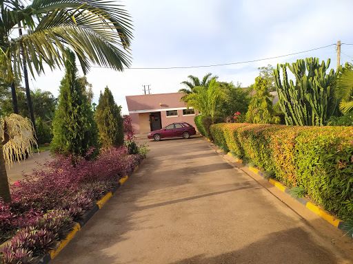 Tarzan Gardens
