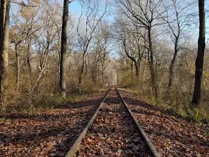 Vadmegfigyelő