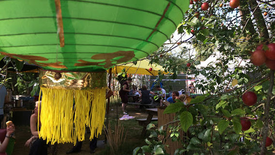 Summer Camps Holland