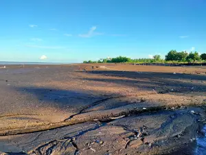 Pantai Parti