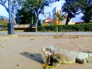Plaza Bolívar de Los Guayos