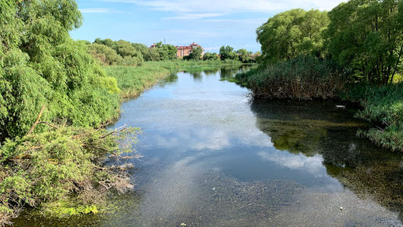 Tsar Simeon Memorial