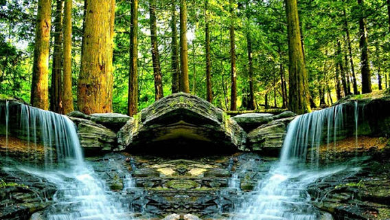 Parcul Regele Mihai I al României