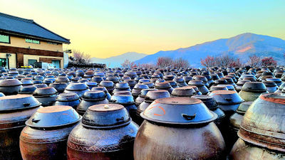 Hongssangri Cheong Plum Farm