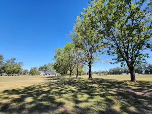 Camping UOM San Nicolás