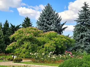 National Botanic Garden