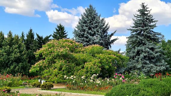 Tiraspol Botanical Garden