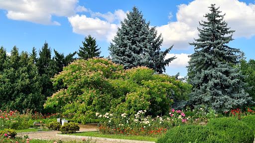 Tiraspol Botanical Garden