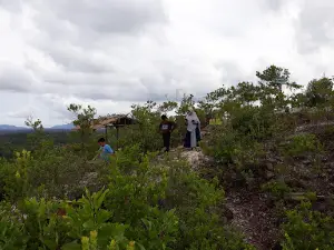 Taman Wisata Alam Gunung Gundul
