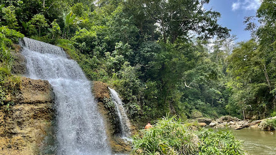 Primera Cascada de la Planta