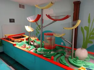 Mighty Children's Museum
