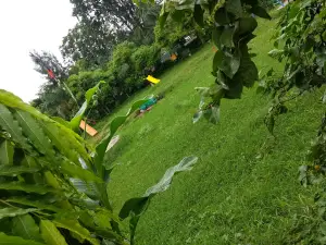 Swami Vivekanand Children Park