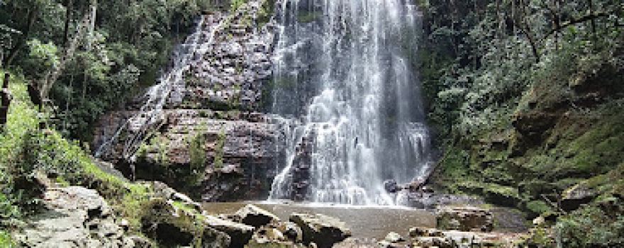 Reserva Natural y Cascada los Tucanes