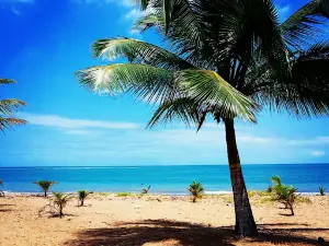 Berlinque beach