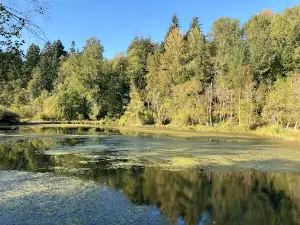 Salmon Creek Regional Park/Klineline Pond
