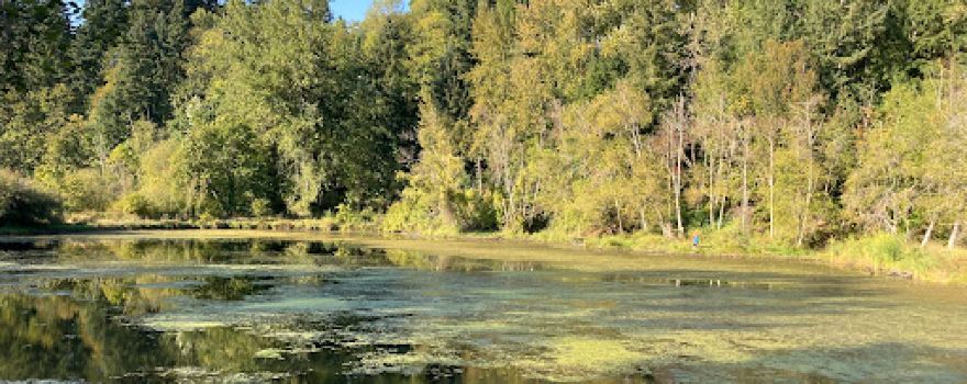 Salmon Creek Regional Park/Klineline Pond