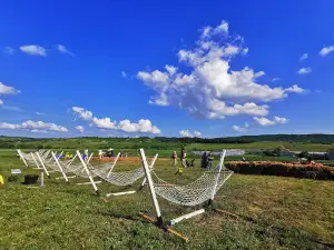 Kazkovi Polya