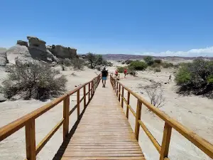 Dinosaurios De Ischigualasto