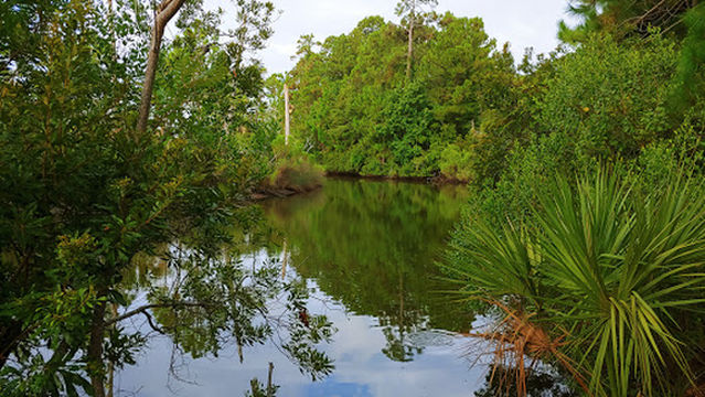 Chaplin Community Park