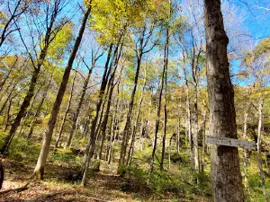 High Knob Lookout