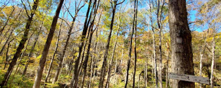 High Knob Lookout