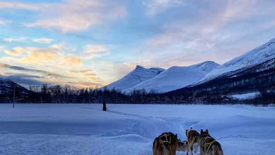 Harkin Husky Farm