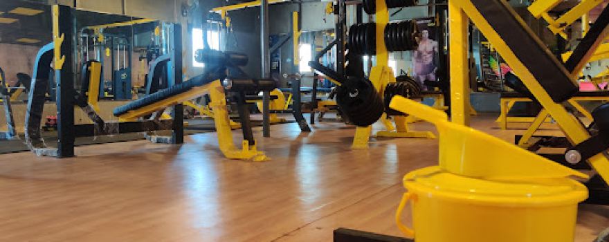 Tiger Fitness Gym