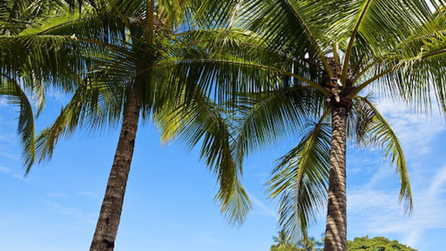 Playa Dominical del Sur