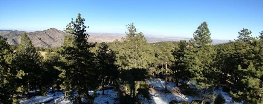 Mt Falcon Hiking Trail