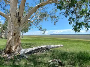 Lake Elphinstone Campsite