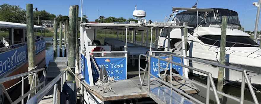 Cape Water Tours and Taxi